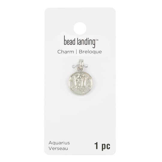 12 Pack: Metal Zodiac Coin Charm by Bead Landing